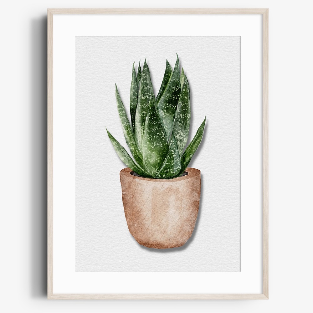 Watercolor Plants Botanical Wall Art Illustration Print Poster Unframed